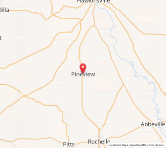 Map of Pineview, Georgia