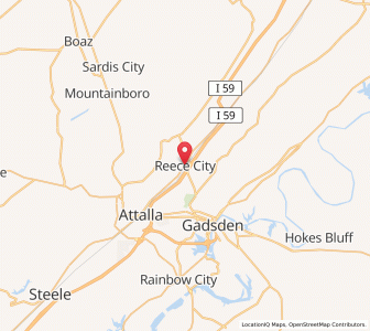 Map of Reece City, Alabama