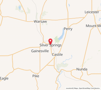 Map of Silver Springs, New York