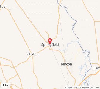 Map of Springfield, Georgia