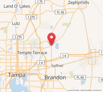 Map of Thonotosassa, Florida