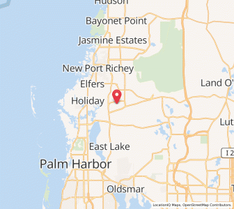 Map of Trinity, Florida