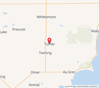 Map of Turner, Michigan