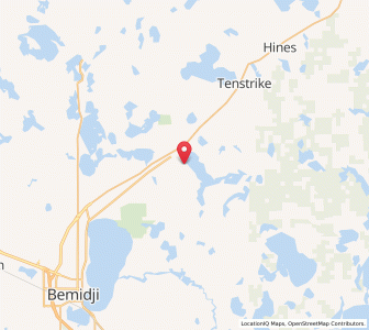 Map of Turtle River, Minnesota