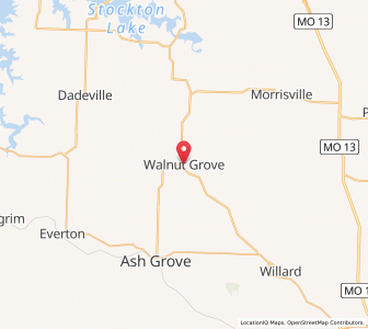 Map of Walnut Grove, Missouri