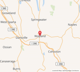 Map of Wayland, New York