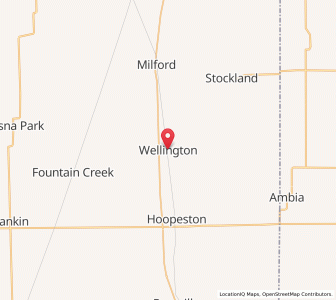 Map of Wellington, Illinois