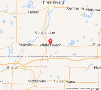 Map of White Pigeon, Michigan