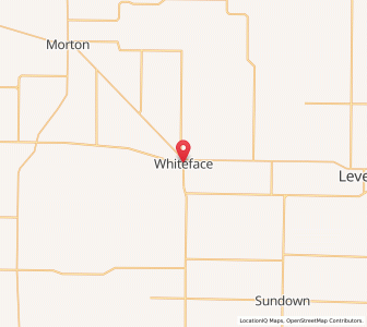 Map of Whiteface, Texas