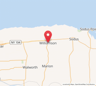 Map of Williamson, New York